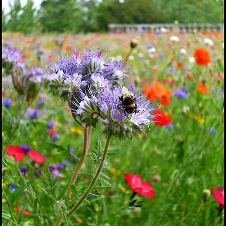 Chateau De Panloy Frühstückspension