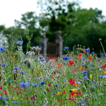 Chateau De Panloy Port-dʼEnvaux