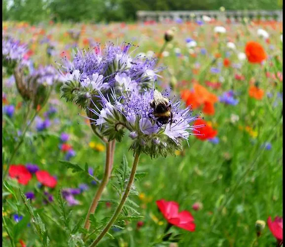Château De Panloy Couette-café