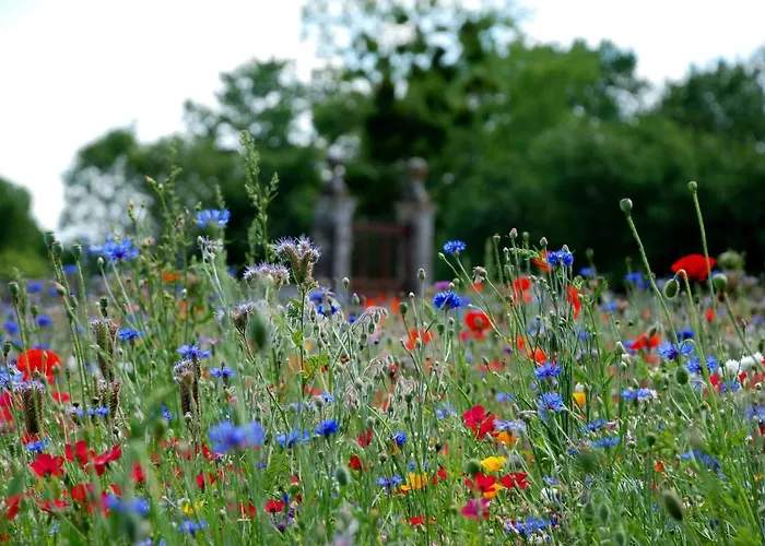 Château De Panloy Port-dʼEnvaux